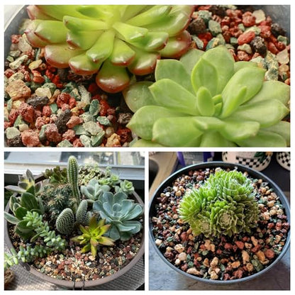 11 Pounds Mix Horticultural Lava Rocks, 3-6 mm Lava Rocks for Plants, Bonsai Rocks Horticultural Grit Soil Cover Gravel for Succulents and Hydroponics, Fairy Gardening, Top Dressing, Plant Drainage - size: 0.15-0.24 inch, style: Mix lava/ 11 pounds