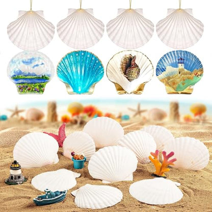 30PCS Natural Scallop Shells 2.3''-3'' White Sea Shells for DIY Craft Making, Hand Painting, Ocean Themed Party and Home Décor - size: L-30pcs