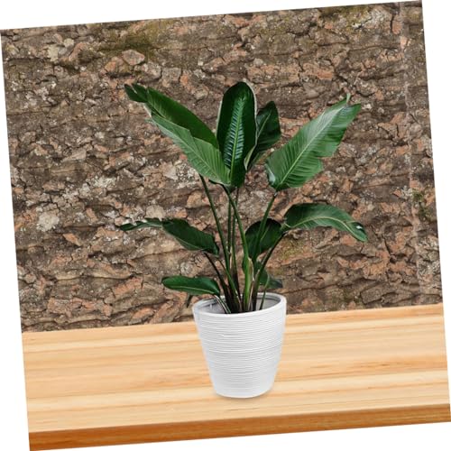 Abaodam Cork Bark Reptile Background for Terrarium Decor Natural Habitat Mat for Gecko Tank Climbing Surface Enhances Visual Depth and Water Quality Safety