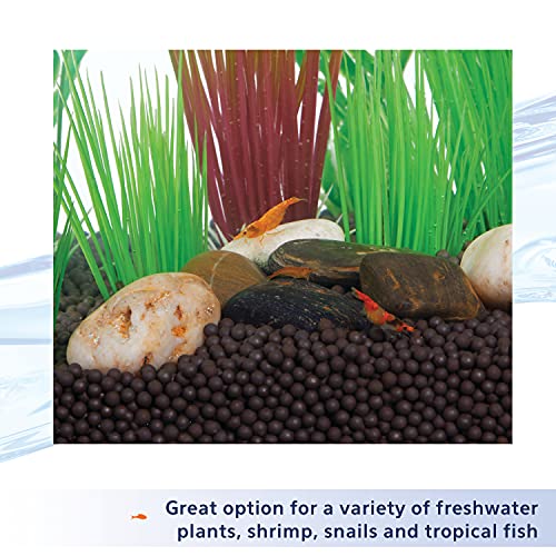 Aqueon Plant and Shrimp Aquarium Substrate, Aqua Soil for Fish Tanks, 5 Pounds, 3 Count - size: 5 Pounds, 3 Count