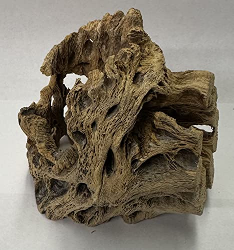 Natural Cholla Wood Chunk Air Plant Display Holders Individually Unique Decorative Stands Holder (Cholla Chunk) - style: Cholla Chunk