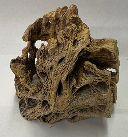Natural Cholla Wood Chunk Air Plant Display Holders Individually Unique Decorative Stands Holder (Cholla Chunk) - style: Cholla Chunk