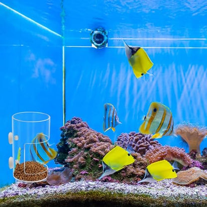 Transparents Fish Food Dispenser Rings Nonslip Aquariums Feeders Rings Essential Fish Feeding Supply Slow Sinking Food Feeders - color: square1