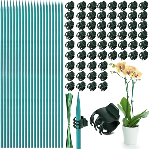 Jetec 110 Pcs 15 Inch Plant Support Kit for Small Orchids, Stakes, Clips | 30 Bamboo Stakes, 50 Reusable Clips, 30 Ties, Gentle Stem Support, Blends with Plants, for Small Orchids and Potted Flowers