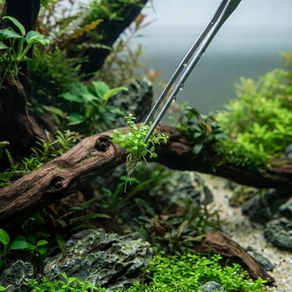 3Pcs Aquascaping Tools, Stainless Steel Aquarium Plant Tools with Straight & Curved Tweezers and Curved Scissors, for Aquatic Plant Care & Tank Maintenance, Terrarium