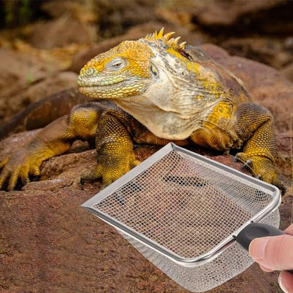 Reptile Sand Substrate Scoop Stainless Steel Litter Cleaner Shovel for Tortoise and Lizard Terrarium Maintenance