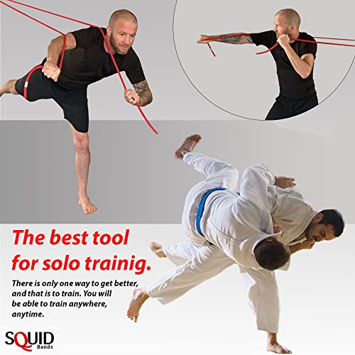 Wrestling, Jiu Jitsu, Judo, Grappling, MMA, Boxing, Muay Thai, Solo Training, Resistance Band - color: Black (Large), size: Large