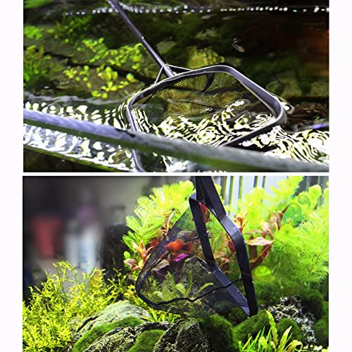 Lightweight Nylon Fish Fishing Net - Shrimp Net Fish Catching Cleaning Tool with Plastic Handle(L) - color: L