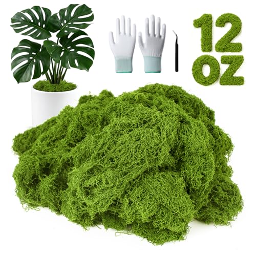 MGLIFEUL 12oz Fake Green Moss for Plants Indoor with Gloves and Tweezers | Artificial Faux Moss for Craft DIY Table Centerpieces Living Walls Fairy Garden Indoor Outdoor Home Decorating Model Making - color: Light Green, size: 12oz