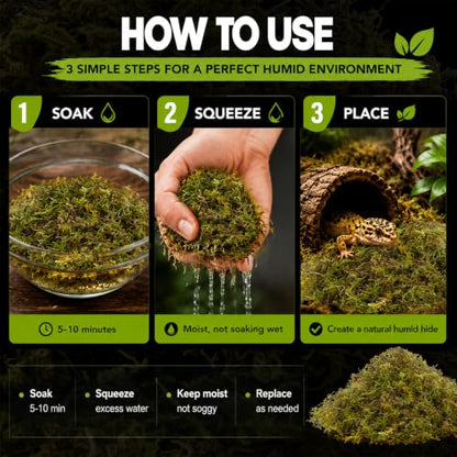 Sukh Sphagnum Moss for Reptiles - Green Terrarium Moss Substrate, 5oz | Habitat Bedding for Gecko, Snake, Turtle, Frog, Bearded Dragon, Jumping Spider, Chameleon, Enclosure & Tank Accessories Decor - size: 5 Ounces