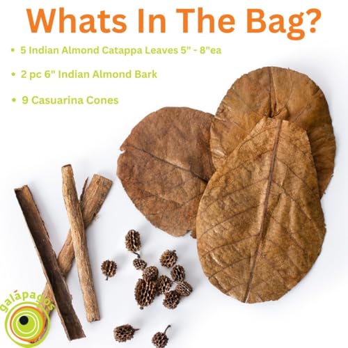 Galapagos (05357) Natural Bioactive Botanicals – 9 Casuarina Cones, 5 Catappa Leaves, and 2 Almond Bark - Functional Aquarium Decor for Betta Fish, Hermit Crab, Shrimp Tanks & Blackwater Aquariums