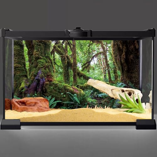 72x18 in Terrarium Backdrop Rainforest Moss Tree Reptile Habitat Background | AWERT Green Tropical Forest Polyester Aquarium Background - size: 72x18in/180x45cm