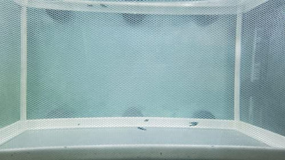 Large Fish Breeder Net with Suction Cups Nylon Mesh Fish Fry Hatchery Breeder Isolation Box Separation Net for Plants/Shrimp on Aquarium Tank
