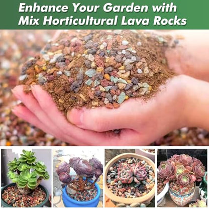 6.6 Pounds Mix Horticultural Lava Rocks, 5-8 mm Lava Rocks for Plants, Bonsai Rocks Horticultural Grit Soil Cover Gravel for Succulents and Hydroponics, Fairy Gardening, Top Dressing, Plant Drainage - size: 0.2-0.3 inch, style: Mix lava/ 6.6 pounds