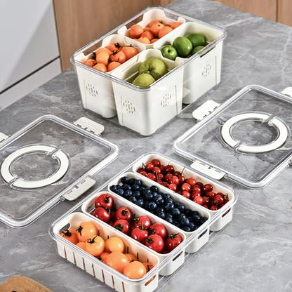 Divided Veggie Tray with Lid and Handle 4 Compartment Serving Tray Portable Travel Snack Storage Containers Stackable Snackle Box Charcuterie Container for Fruit,Vegetable,Salad - size: 1 Pack-4 Compartment