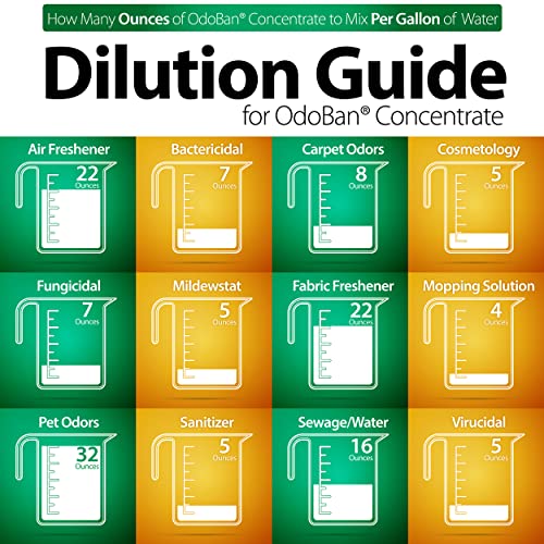 OdoBan Disinfectant Concentrate and Odor Eliminator, Made in the USA, Original Eucalyptus Scent, 1 Gallon - size: 128 Fl Oz (Pack of 1)