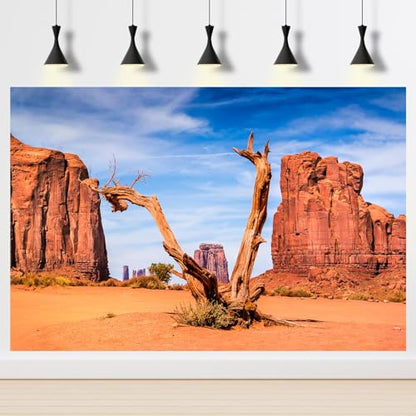 3 Pack Reptile Habitat Background Sunset Desert Terrarium Background Fantasy Forest Aquarium Background Gobi Sunshine Cactus Stone Green Fern Lizard Tank Terrarium Background 36x18in - size: 36(W)x18(H)inches/ 90(W)*45cm(H)