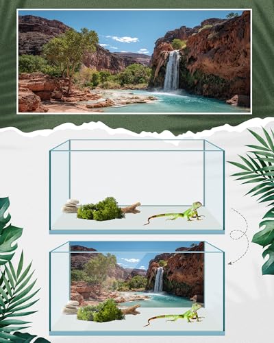Breling 4 Pcs 36 x 18'' Reptile Tank Background 30/40/50 Gallon Bearded Dragon Terrarium Background Decor Polyester Reptile Tank Accessories for Leopard Gecko, Crested Gecko, Tortoises - size: 36 x 18 Inch