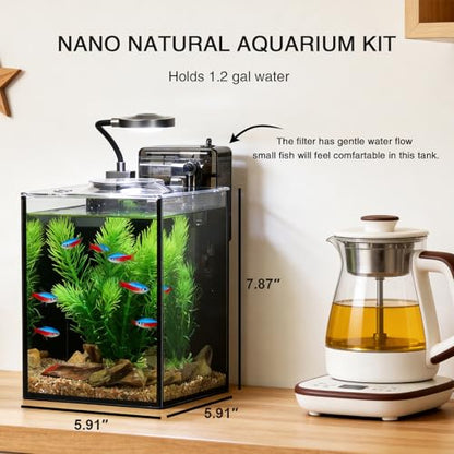 1.2 Gallon Betta Fish Tank, Small Aquarium Kit,Glass Small Fish Tank,Betta Fish Tank with a lid and Light and Filter, Small Transparent Glass Fish Tank with Light and Filter(Black Glass Background) - size: 1.2 Gallon