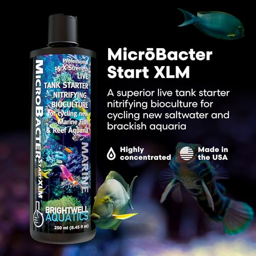 Brightwell Aquatics MicroBacter Start XLM - Concentrated Saltwater Nitrifying Bacteria - Quick Start Fish Tank Starter, Lift Microbe Levels & Water Filtering - Marine Aquarium Treatments, 8.45 fl oz - size: 250-ML