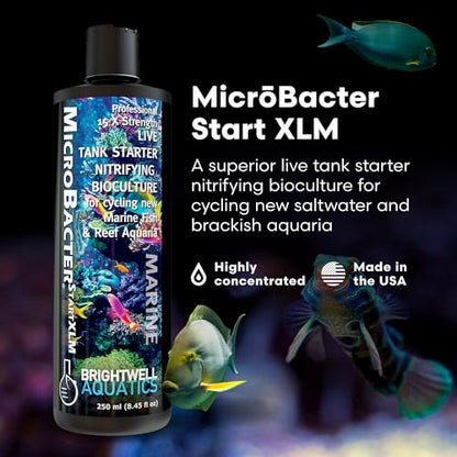 Brightwell Aquatics MicroBacter Start XLM - Concentrated Saltwater Nitrifying Bacteria - Quick Start Fish Tank Starter, Lift Microbe Levels & Water Filtering - Marine Aquarium Treatments, 8.45 fl oz - size: 250-ML