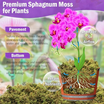 Riare 3.3LB Premium Sphagnum Moss for Plants- 60QT Natural Dried Plant Moss - size: 60 QT(Appx.3.3lbs)