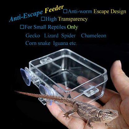 Reptile Gecko Feeder Dish Bowl Chameleon Worm Anti-Escape Bowl Suction Cup Feeder for Reptiles, 1 Feeder and 2 Feeding Tong