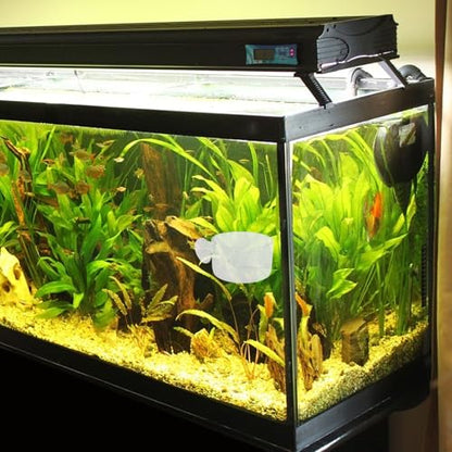 NUOBESTY 2pcs Aquarium Feeder Cup Fish Food Container Worm Holder Acrylic Fish Tank Feeding Device with Suction Cup for Freshwater and Saltwater