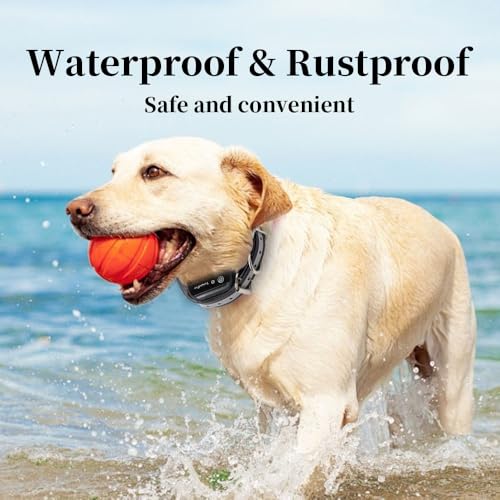 Waterproof TPU Replacement Strap for Dog Training Collar, 27.5 in - color: Black Reflect