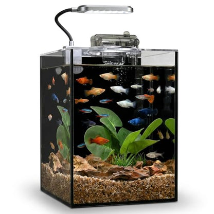 2.2 Gallon Betta Fish Tank, Small Aquarium Kit,Glass Small Fish Tank,Betta Fish Tank with a lid and Light and Filter, Small Transparent Glass Fish Tank with Light and Filter(Black Glass Background) - size: 2.2 Gallon