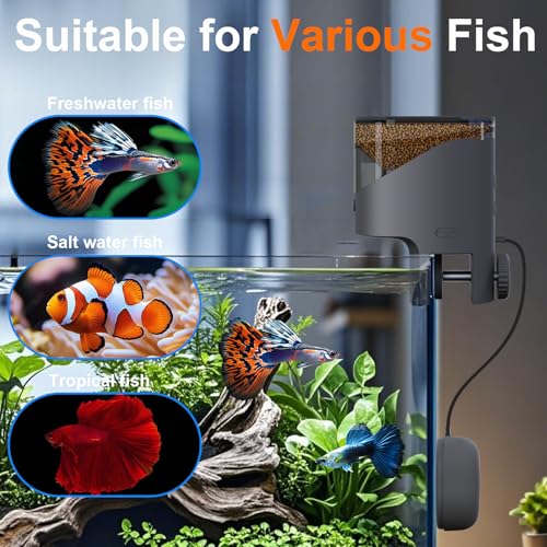 WiFi Automatic Fish Feeder with 2.5K Camera, 2.4/5G Smart App Control, Vacation Feeding Timer, 200ml Moisture-Proof Flake Food Dispenser, Remote Precision Aquarium Feeder for 10+ Gallon Tanks - color: Dark Grey