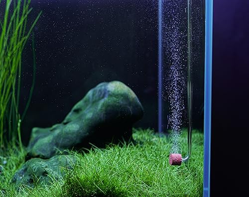 Acrylic CO2 Diffuser for Aquarium up to 10 Gallon Ceramic Disc Nano | Acrylic diffuser, ceramic disc; fine mist - size: XS-11mm