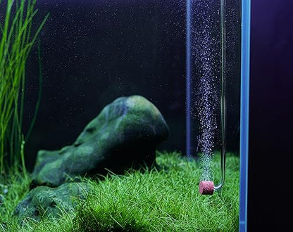 Acrylic CO2 Diffuser for Aquarium up to 10 Gallon Ceramic Disc Nano | Acrylic diffuser, ceramic disc; fine mist - size: XS-11mm