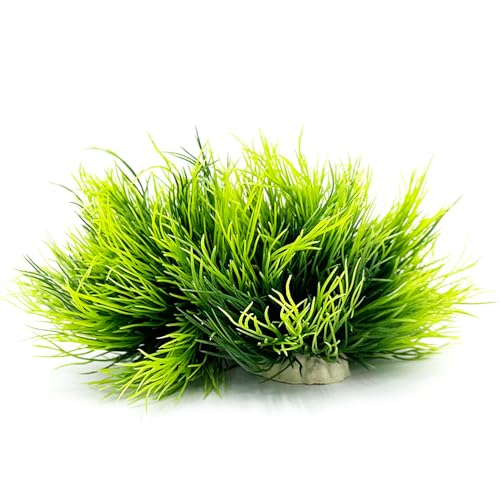 Aquarium Plants Fish Tank Decorations 2pcs Small Size/3.5inch Ornament Plastic Artificial Plant Goldfish Waterscape Fish Hides Mini Grass Set (2pcs/Green)