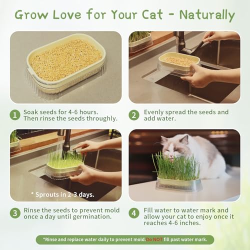 Cat Grass for Indoor Cats with 5 Pack Non GMO Wheat Seeds, Organic Grass Growing Kit, Soil-Free Planter, Perfect for Beginners, Cat Friendly Plants, Ideal Birthday Gift for Cat Lovers