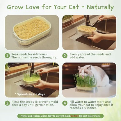 Cat Grass for Indoor Cats with 5 Pack Non GMO Wheat Seeds, Organic Grass Growing Kit, Soil-Free Planter, Perfect for Beginners, Cat Friendly Plants, Ideal Birthday Gift for Cat Lovers