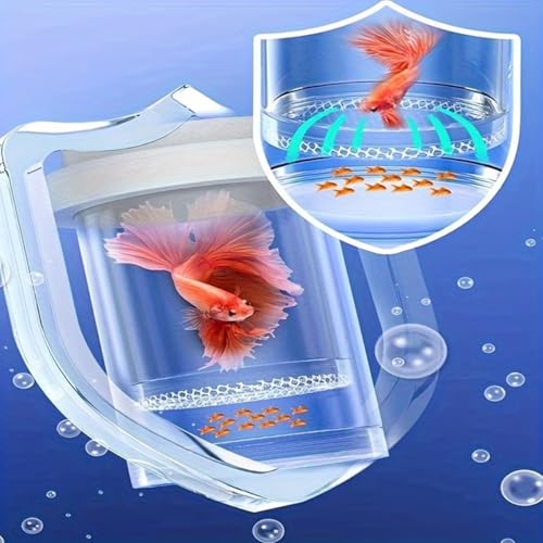 Aquarium Fish Tank Breeding Box, Floating Hatchery Isolation Cage with EVA Buoyancy Sponge Circle,Freely Adjustable Height Design,Large Size Rearing Container for Small Fish, Guppy - color: White, size: 5.6*3.6in