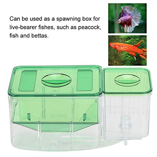 Fish Breeding Box, Transparent Aquarium Little Fish Breeding Hatching Box, Fish Tanks Double Layer Isolation Box Hatchery Incubator for Injured Small Fish Shrimp