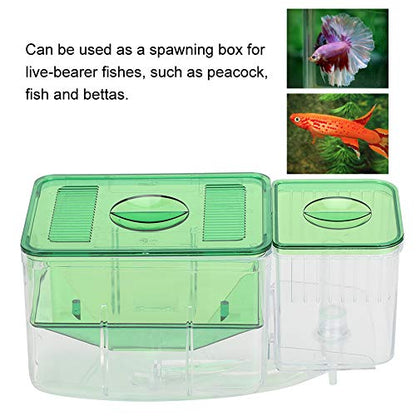 Fish Breeding Box, Transparent Aquarium Little Fish Breeding Hatching Box, Fish Tanks Double Layer Isolation Box Hatchery Incubator for Injured Small Fish Shrimp