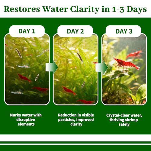 No Planaria & Hydra Support, Aquarium Balance Liquid for Shrimp & Fish | Helps Maintain Tank Stability and Reduce Flatworm-Related Issues, Shrimp-Safe Formula, 60ml