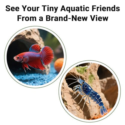 90° Corner Fish Cave Viewing Tunnels | Realistic Rock Formation Hideout for Shrimp, Plecos, Cichlids | BPA-Free Premium Resin, Safe for Aquarium (5.3”x5.3”x2.8”) - style: Rock