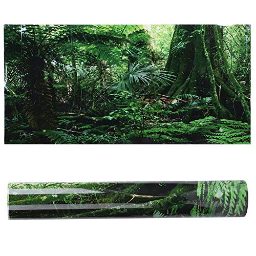 PVC Reptile Box Rainforest Background Poster Fish Tank Wall Picture Painting Decoration Self Adhesive Sticker HD Image Non Easy to Apply for Aquarium or Reptile (122 * 46cm) - size: 122*46cm
