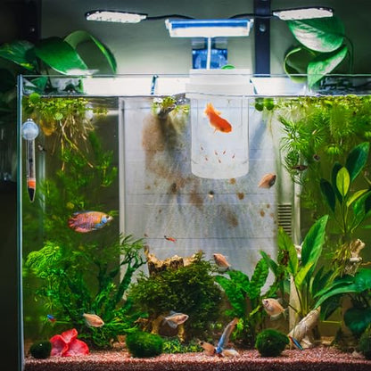 DOITOOL Fish Breeding Isolation Box for Aquarium – Floating Hatchery Incubator Small Coarse and Medium Fine Mesh Nets – Fish Separator Suitable for Guppy Betta Shrimp Fry Nursery