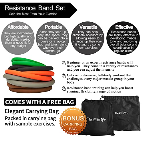 Resistance Bands with Handle Set - for Men and Women, Workout Bands for Strength Exercise, with Handles, Door Anchor & Ankle Straps, for Rehab, Yoga and Fitness