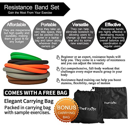 Resistance Bands with Handle Set - for Men and Women, Workout Bands for Strength Exercise, with Handles, Door Anchor & Ankle Straps, for Rehab, Yoga and Fitness