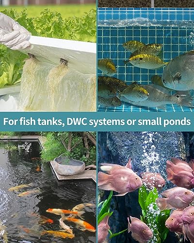 Pawfly Aquarium Air Stone Disc for Air Pump 5 Inch Fish Tank Air Stone Bubbler Bubble Release Tool Oxygen Diffuser for Fish Tanks Buckets Small Ponds and DWC Systems - size: 5 inch