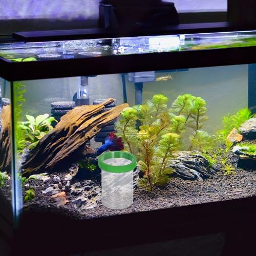VICASKY Fish Breeding Isolation Box Floating Guppy Hatchery Incubation Tank Egg Holder Aquarium Nursery Divider for Fry and Small Fish
