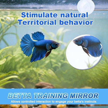 6 Pcs Betta Fish Toys, 4 Betta Rings, 1 Aquatic Plant & 1 Training Mirror, Betta Enrichment Toys for Betta Tank, Aquarium Interactive Play