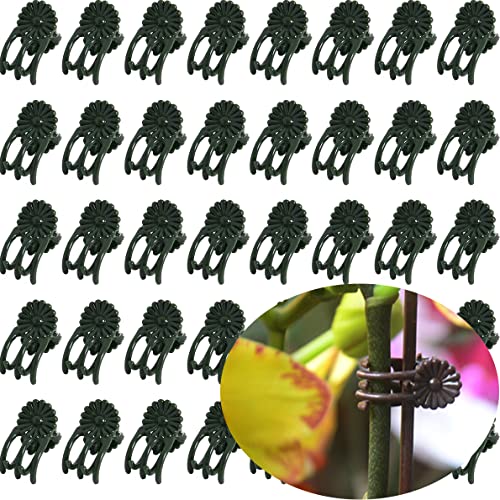 40-PCs Orchid Clips for Plants Support - Dark Green, for Small - Middle Climbing Plants Vine Plants & Single Stem Plants - color: Green