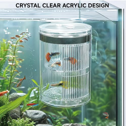 Floating Breeder Box for Fish Tank, Acrylic Baby Aquarium Isolation Box Hatchery Incubator Tank with Suction Cups for Guppy, Betta, Clownfish, Baby Fish, Shrimp & Injured Fish (M) - size: M
